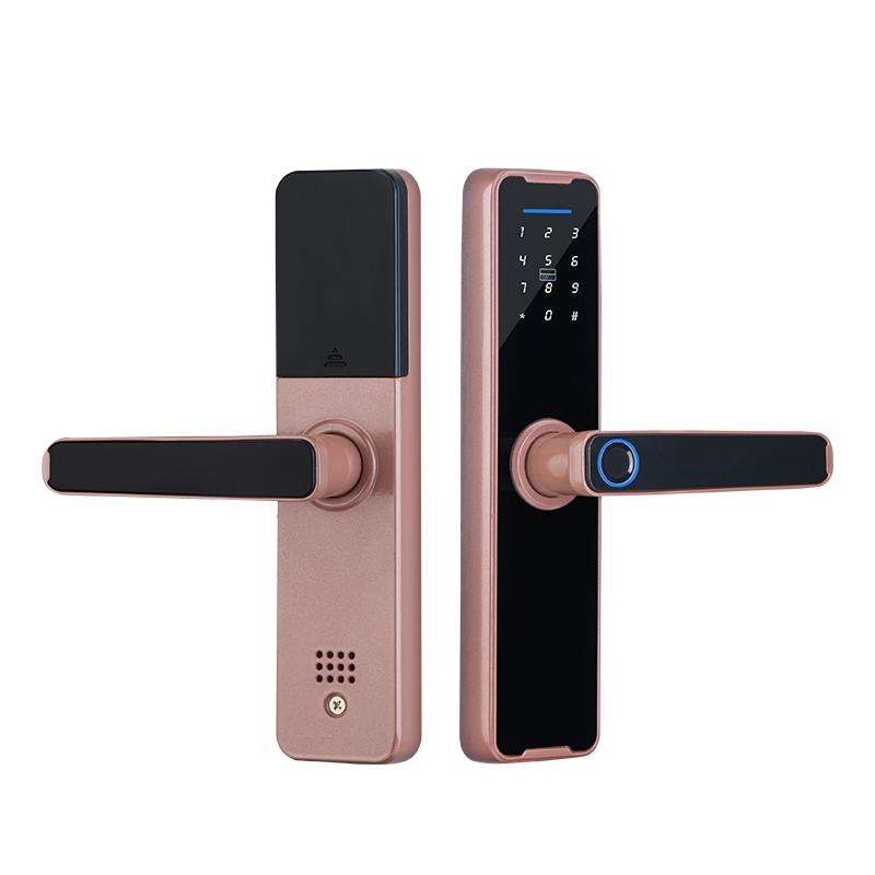 Smart Mortise Door Lock - Fingerprint, Password, Mechanical Key, Card, APP, Bluetooth/WiFi  - SL20