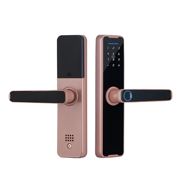 Smart Mortise Door Lock - Fingerprint, Password, Mechanical Key, Card ...