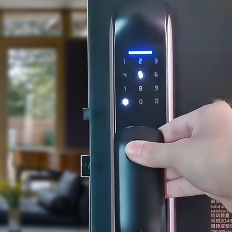 Smart Mortise Door Lock -  Fingerprint, Password, Mechanical Key, Card, APP, Bluetooth/WiFi Smart Lock  - SL19